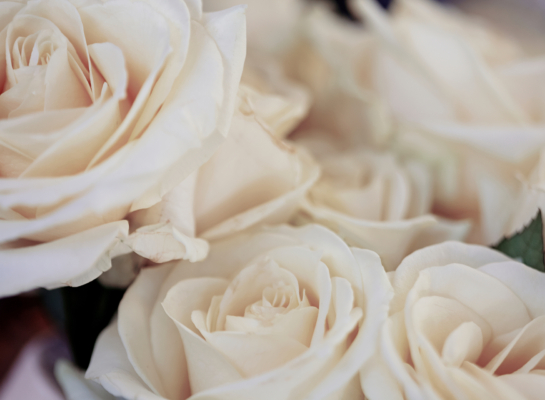 Floral Tributes for funerals